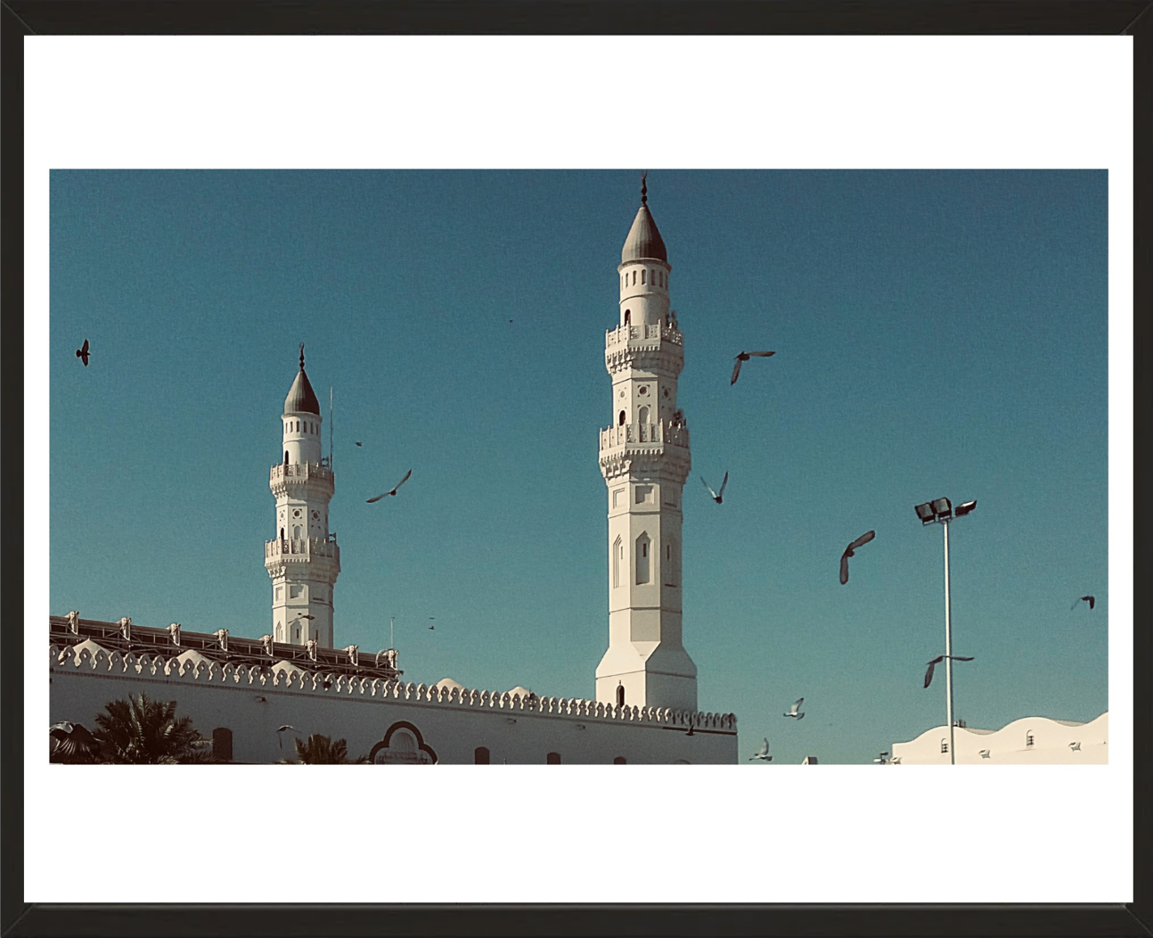 Birds of the Mosque